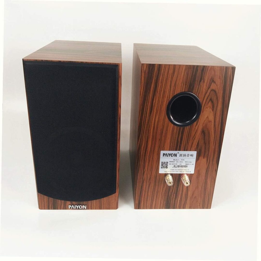 PAIYON P2 HiFi Audio Bookshelf Speaker An Honest Review